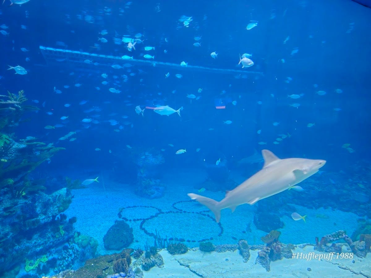 SeaBase Aquarium