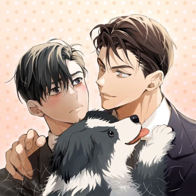 Amor de perros - kotta