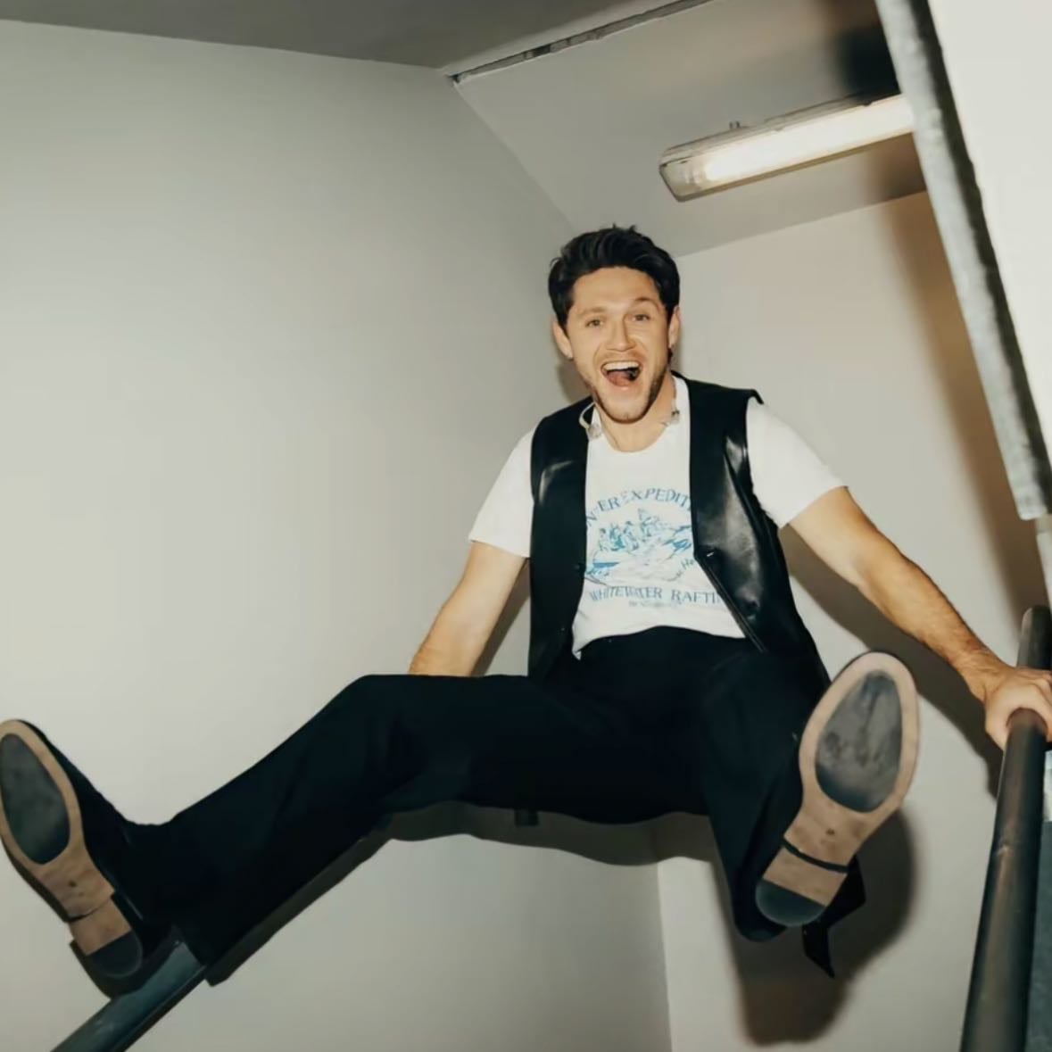 Never Grow Up - Song · Niall Horan