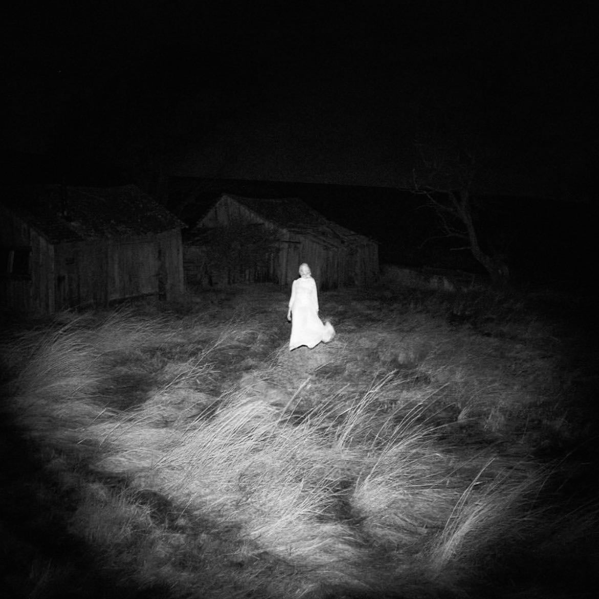 appalachia - appalachia is surrounded by folklore, tales of cryptids and unexplained phenomena creates an uncanny atmosphere
