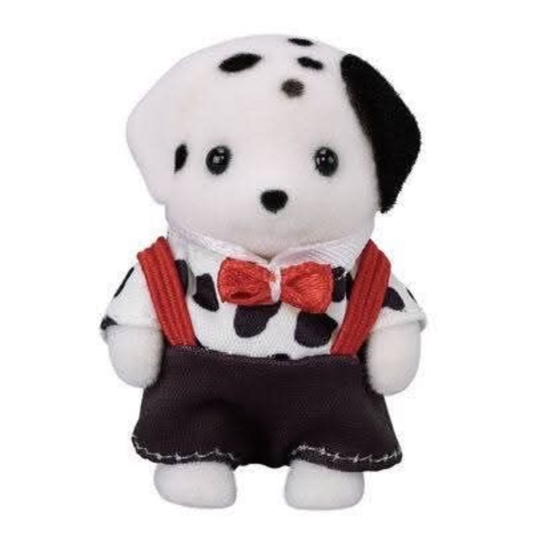 Dalmatian dog