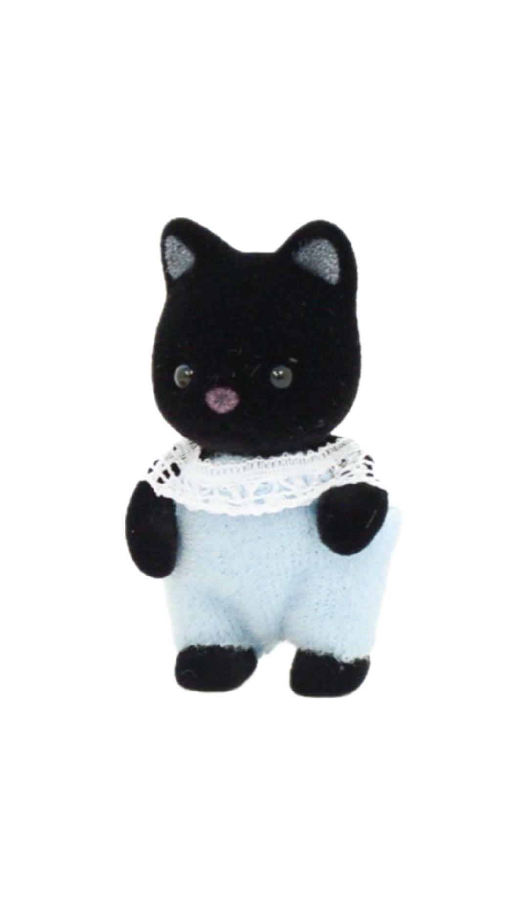 Midnight cat