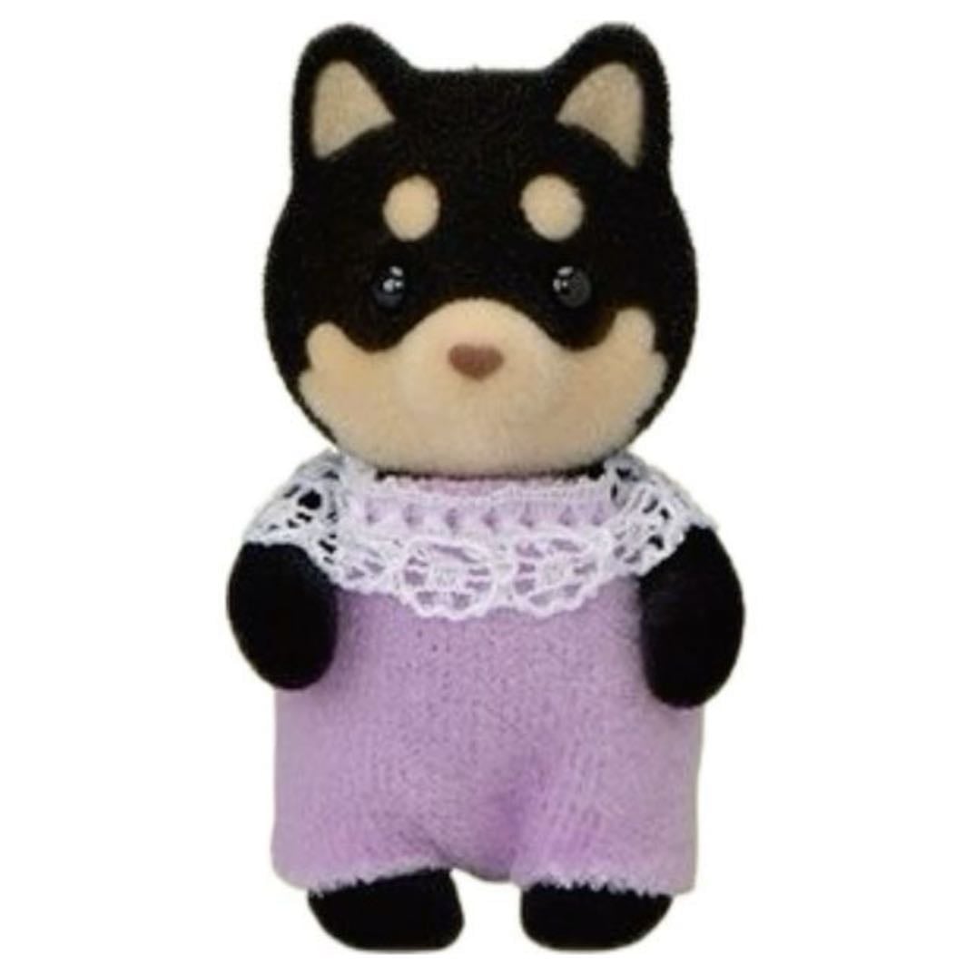 Midnight shiba dog