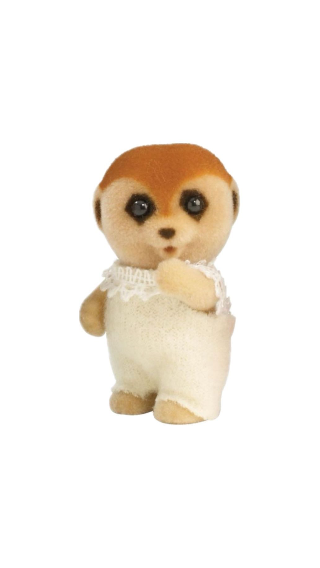Meerkat
