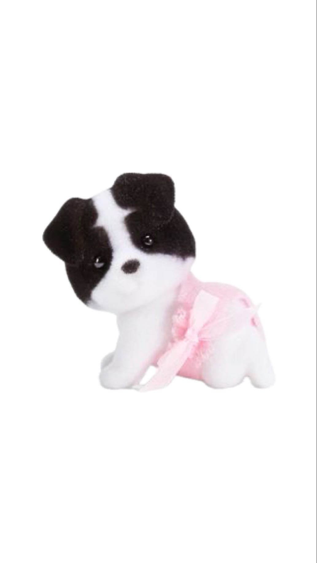 Collie dog