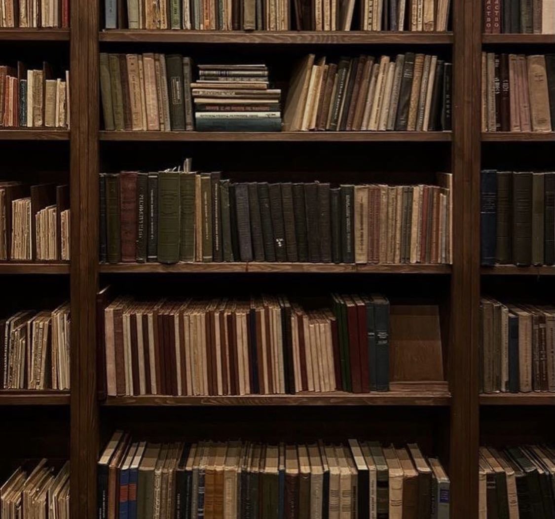 literary loves ౨ৎ