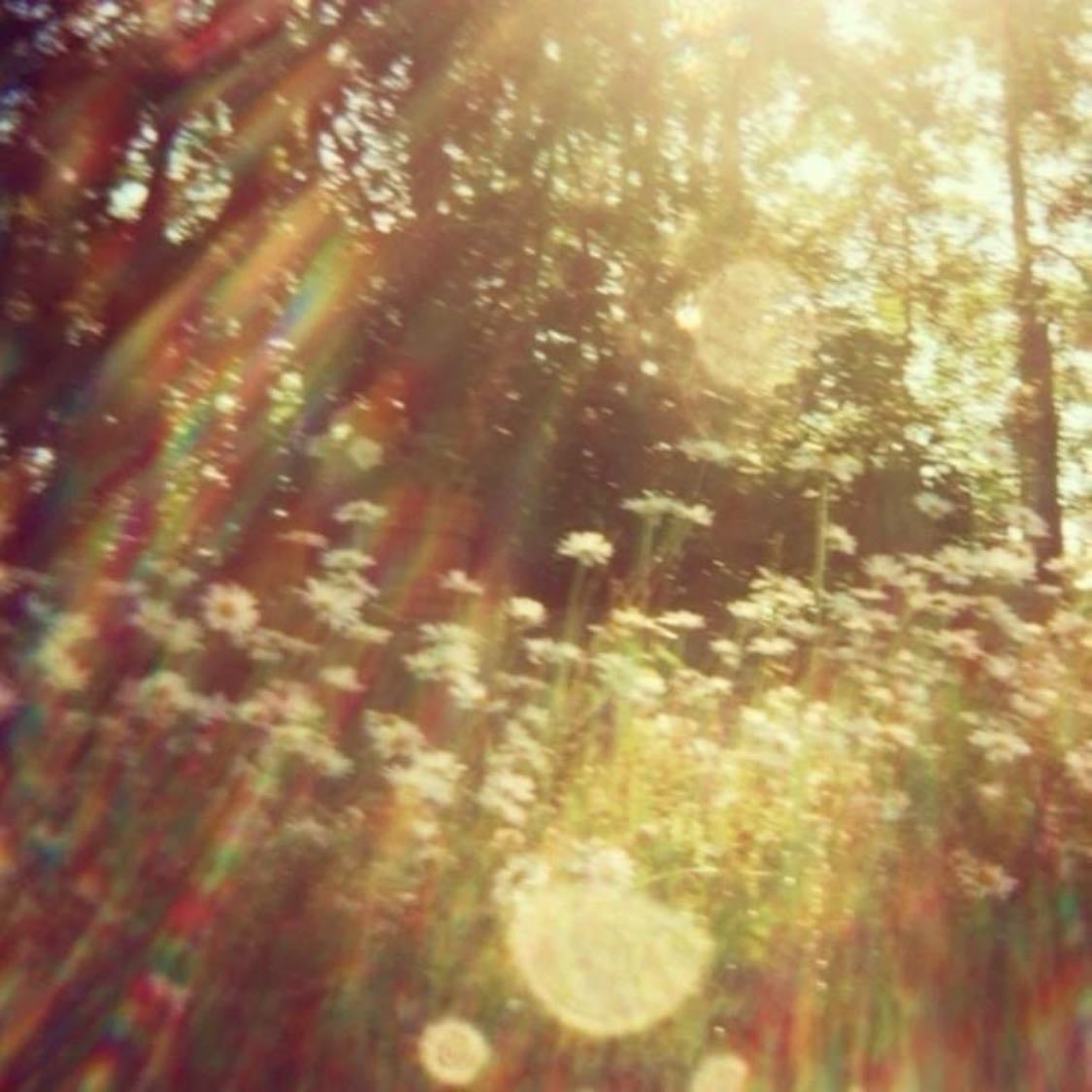 Nettles - Song Β· Ethel Cain