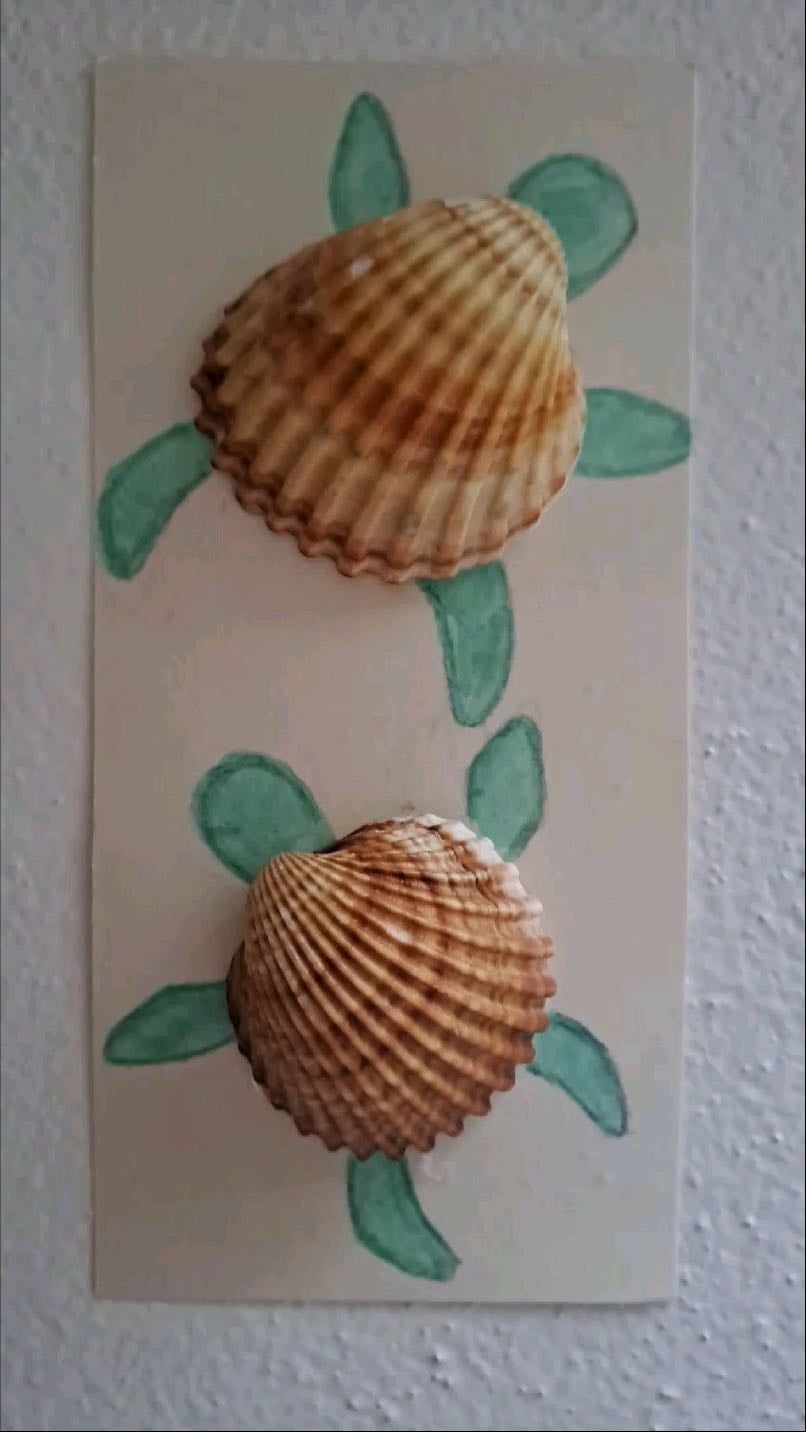 Arte em conchas