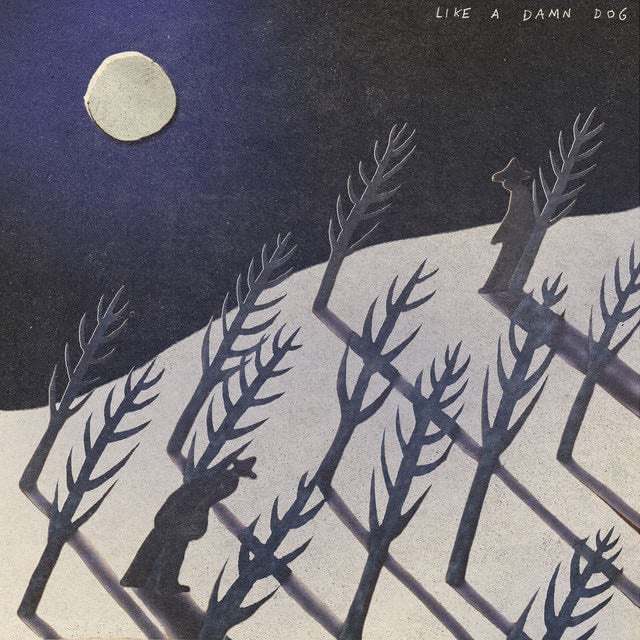 Like A Damn Dog - Album · Sarah and the Sundays