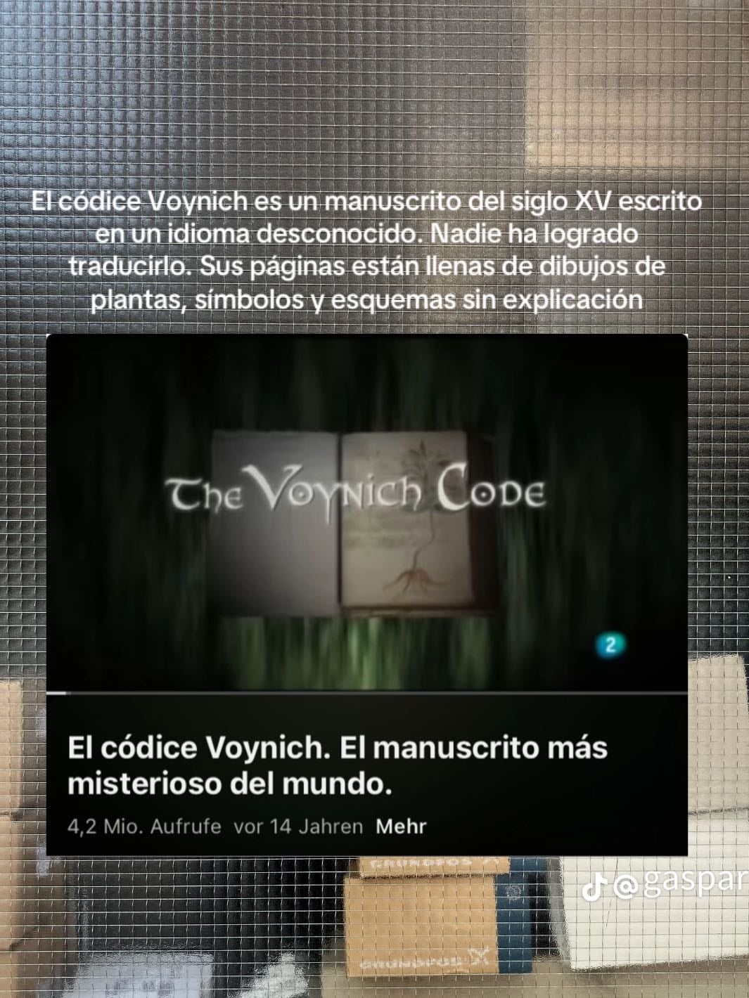 El códice Voynich. El manuscrito más misterioso del mundo - YouTube