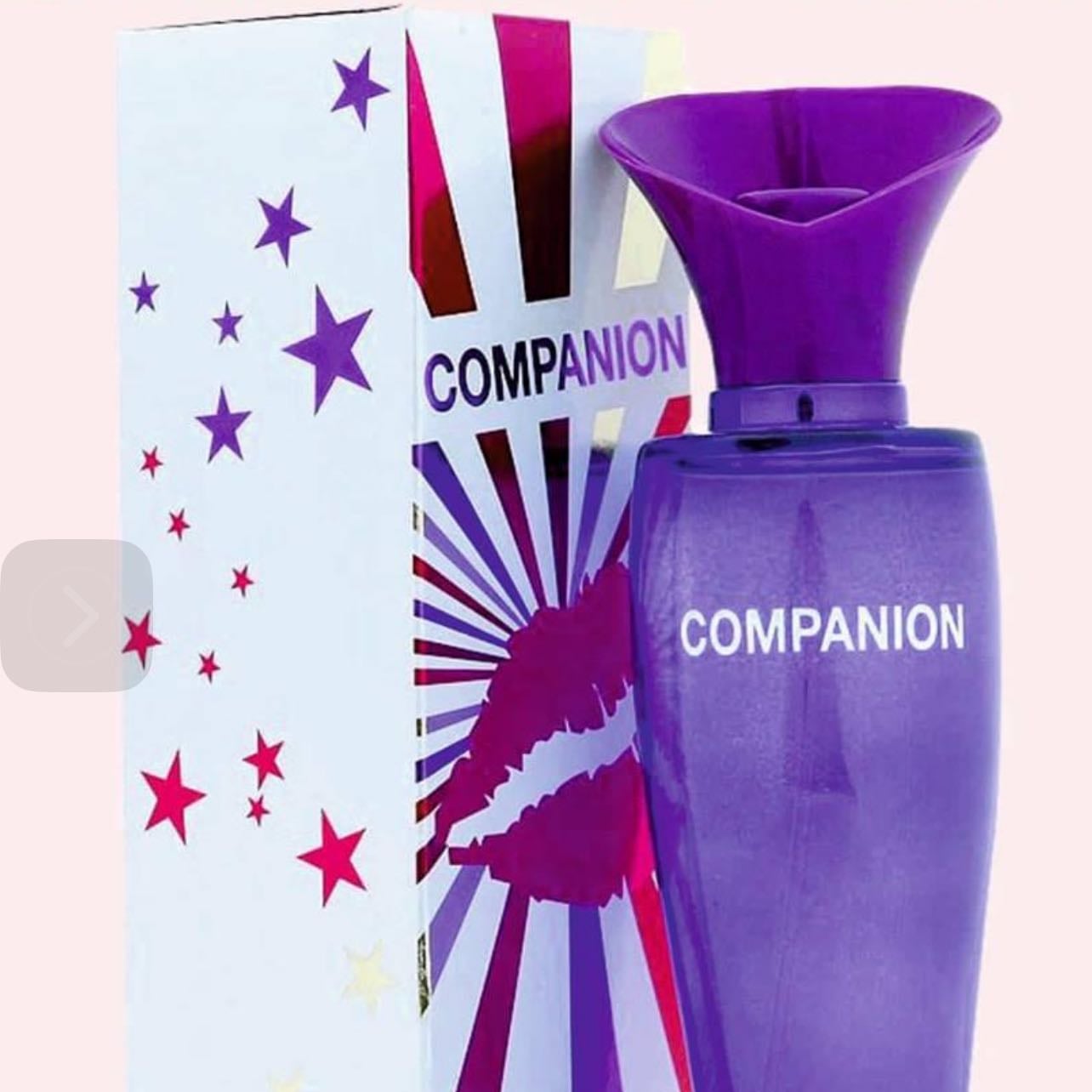 Companion - Justin Bieber girlfriend dupe