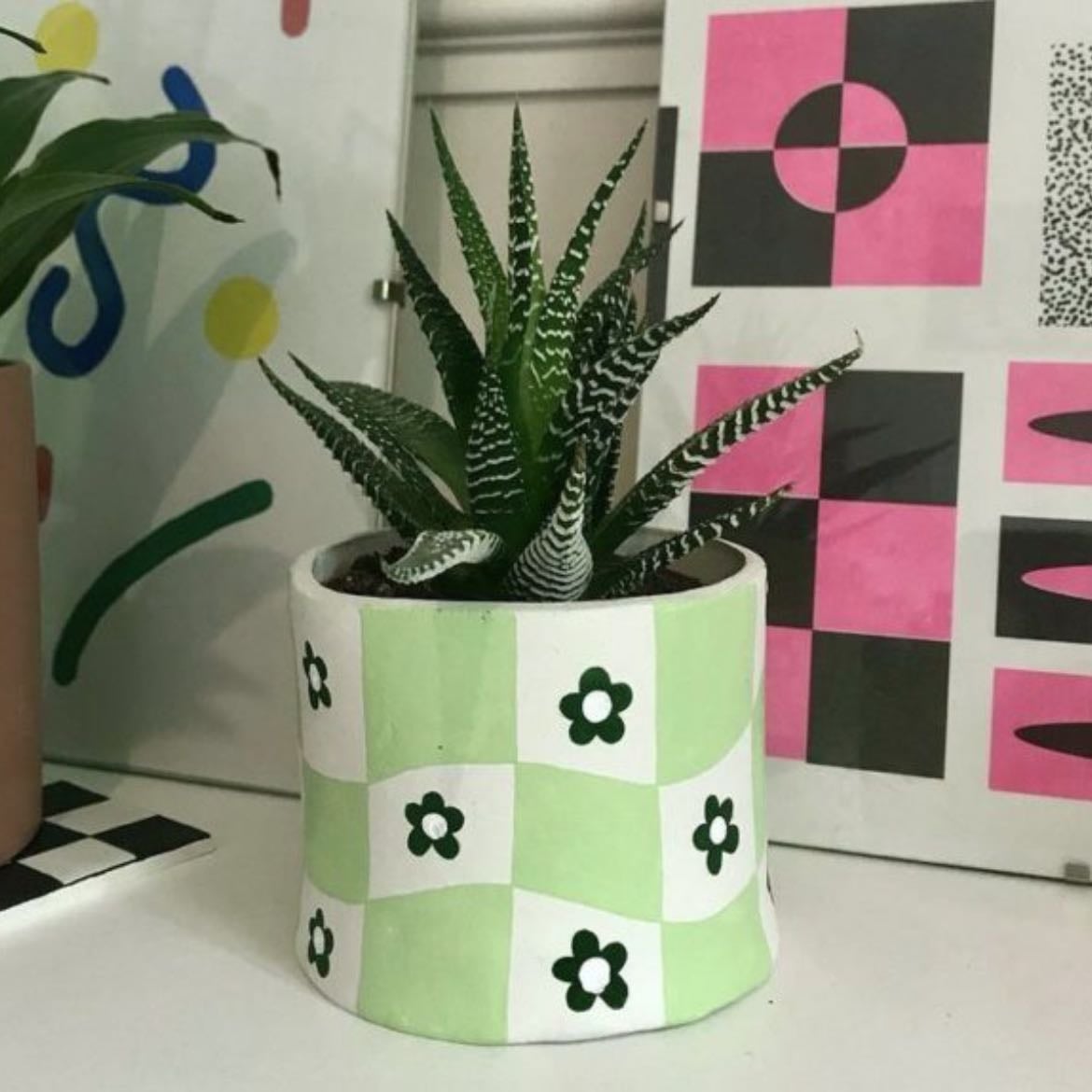 Plantas - Pueden ser de muchos tipos y tú puedes pintar las masetas