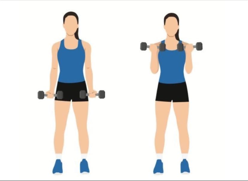 Curl de Bicep - 3x10