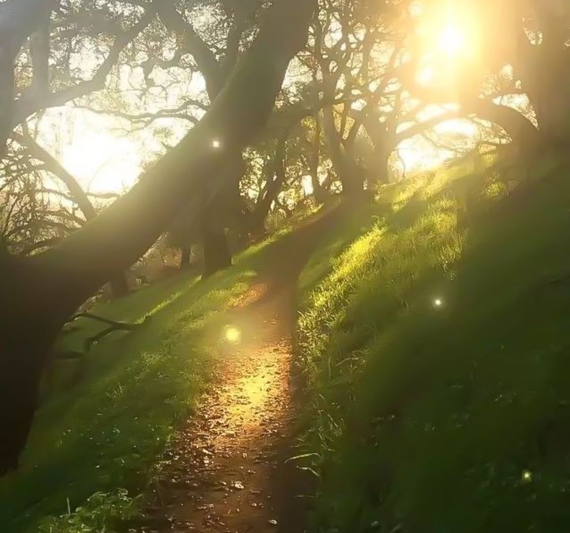 🎧 SONGS THAT FEEL LIKE SOFT SPACES – a reflective playlist - Music hypelist by poppy