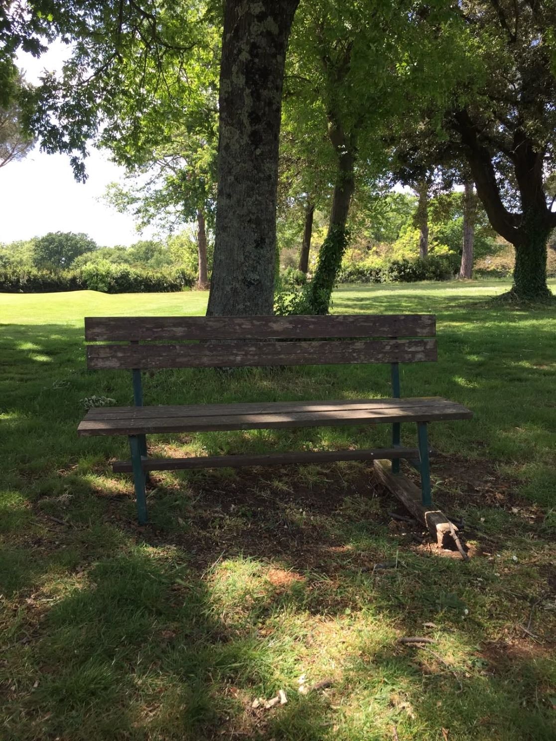 π Bookshop + park bench combo - browse through poetry or old hardcovers, then read with oat iced latte & sunshine