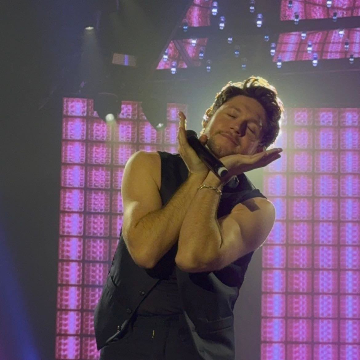 Niall <3 - he’s my favourite person ever and i just love him and his music sm!! there’s so much i could say about him but i can’t even put it into words x