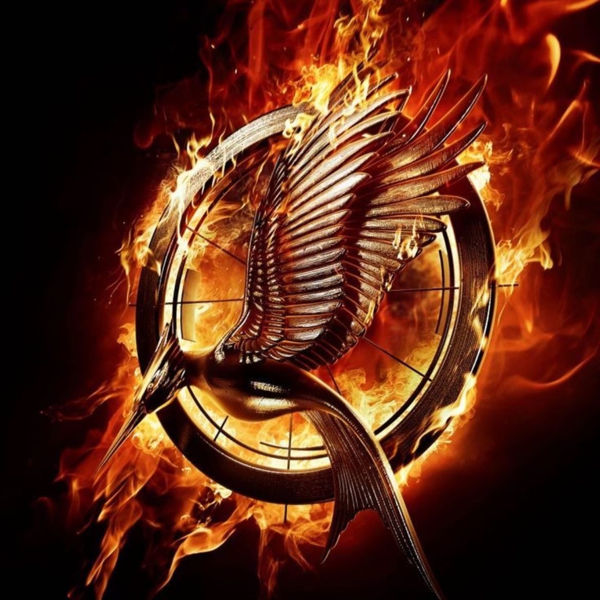 The Hunger Games: Catching Fire - Francis Lawrence · 2013