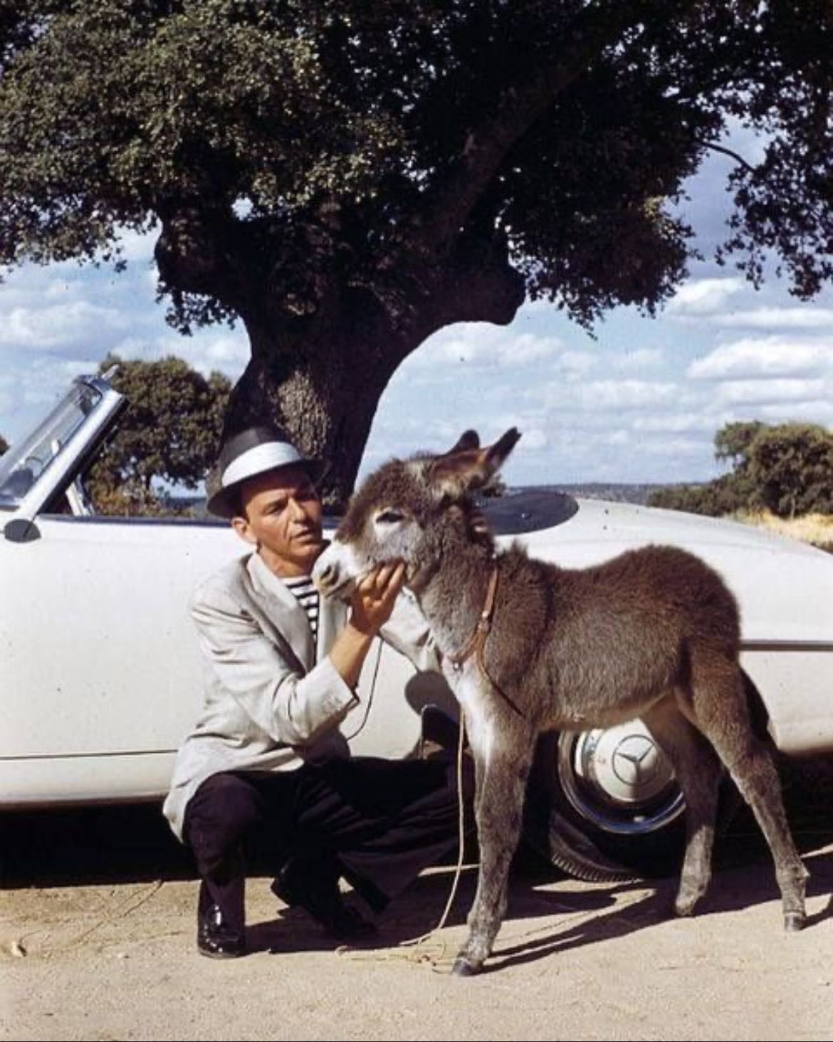 Frank Sinatra - Artist