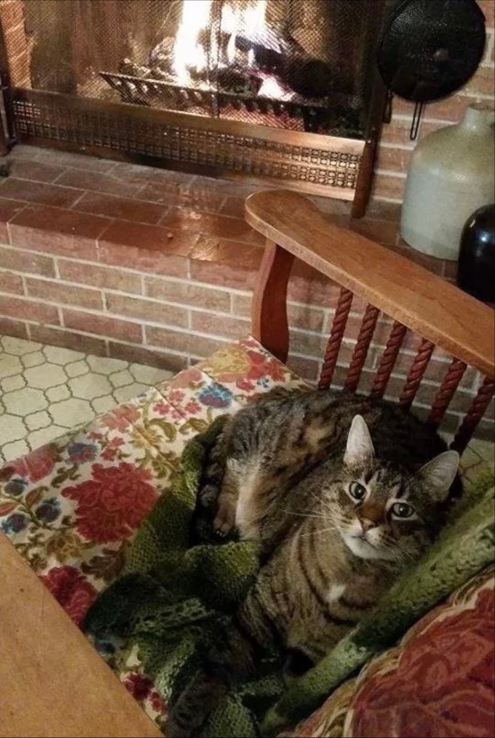 Kitties