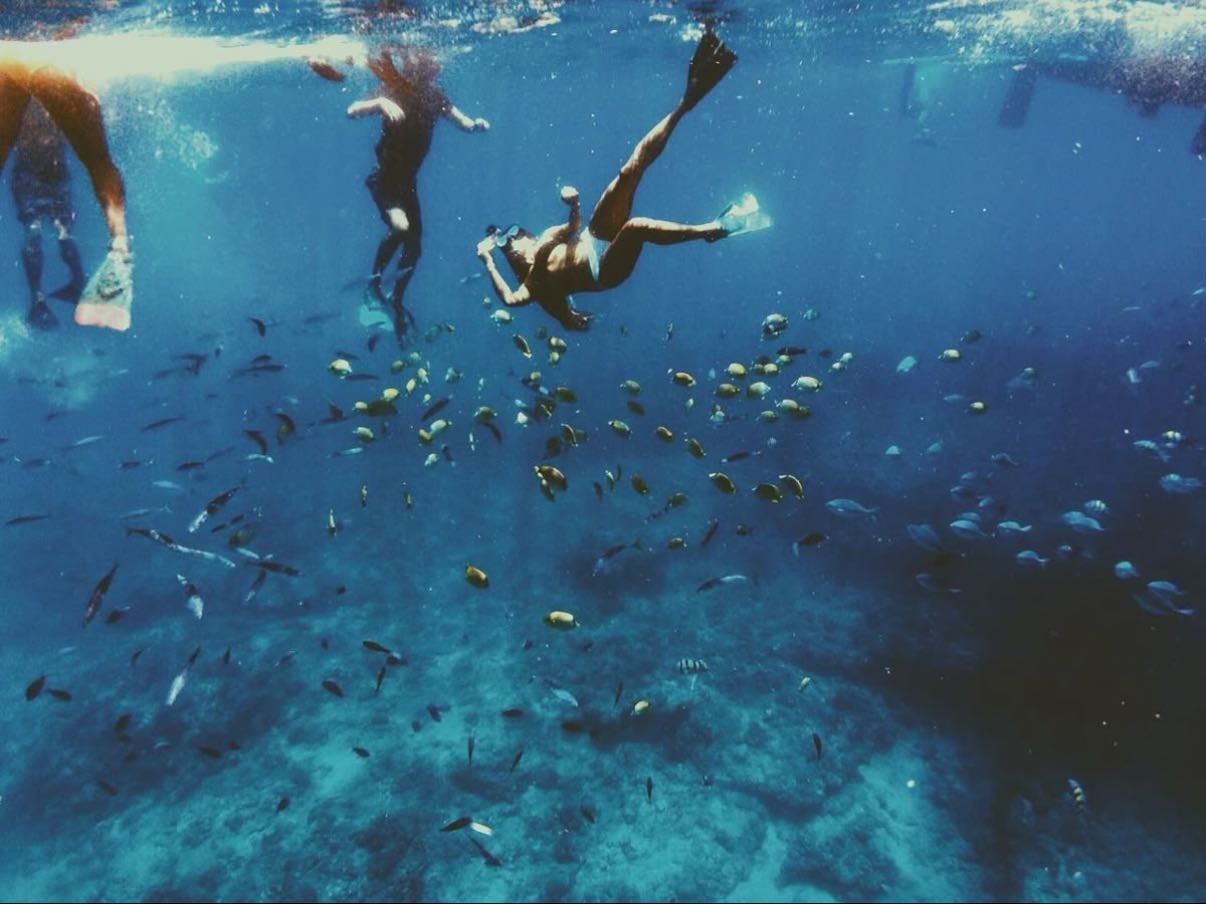 Swimming - Song · Flawed Mangoes