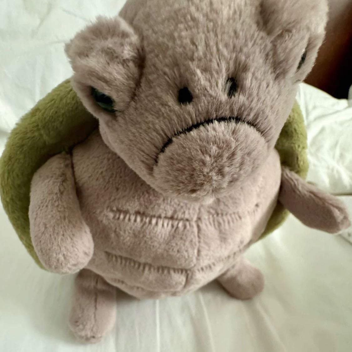 jellycats turtle
