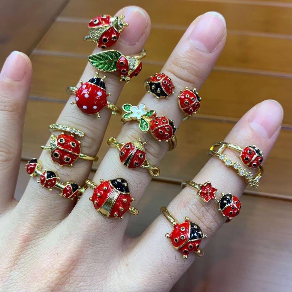 Coccinelle accessori