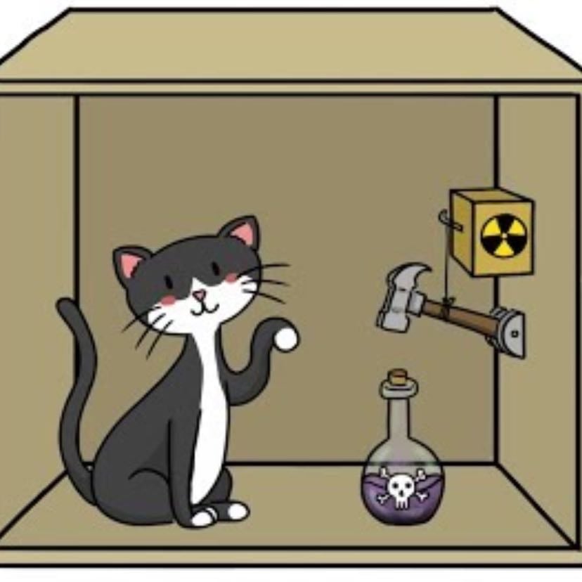 Teoría de Schrödinger - el gato de schrödinger