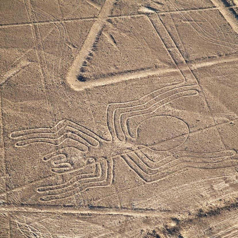 Las líneas de nazca
