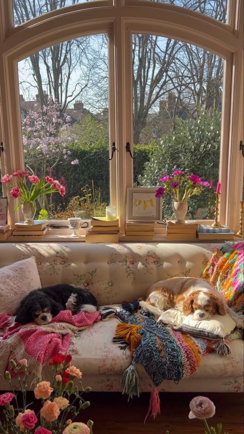 bay windows