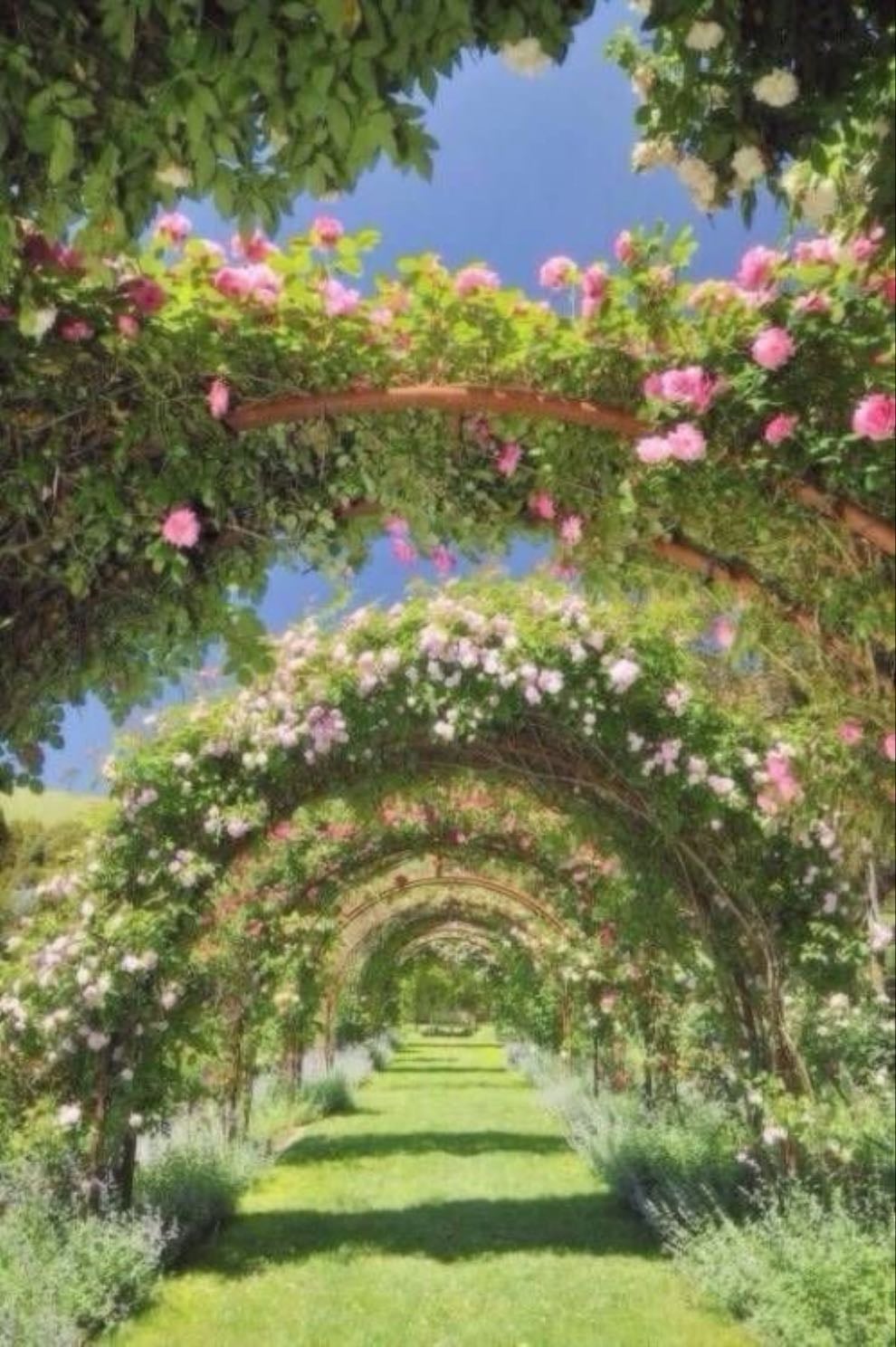 floral archway/pretty landscaping