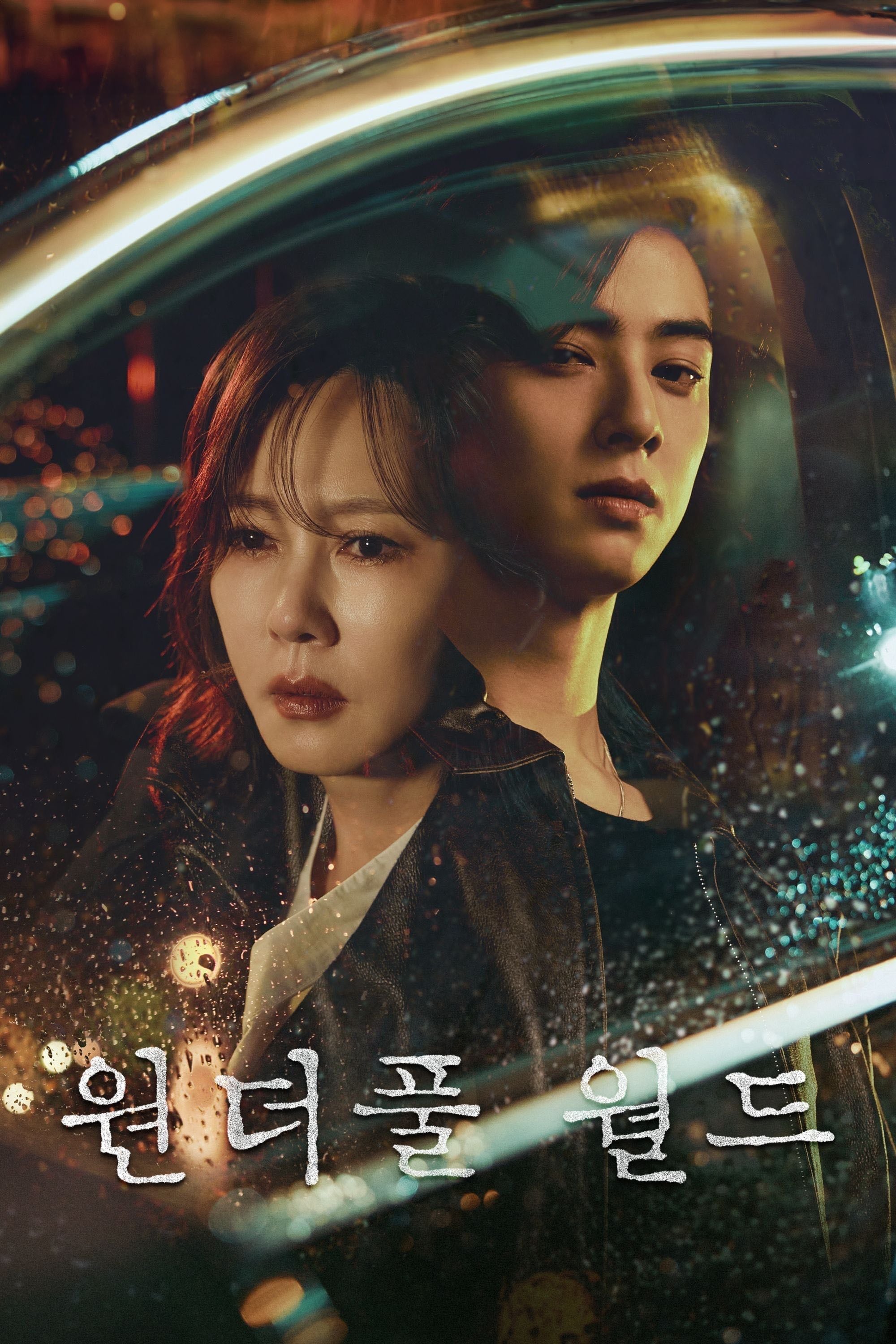 Wonderful World - 14 Episodios ·2024