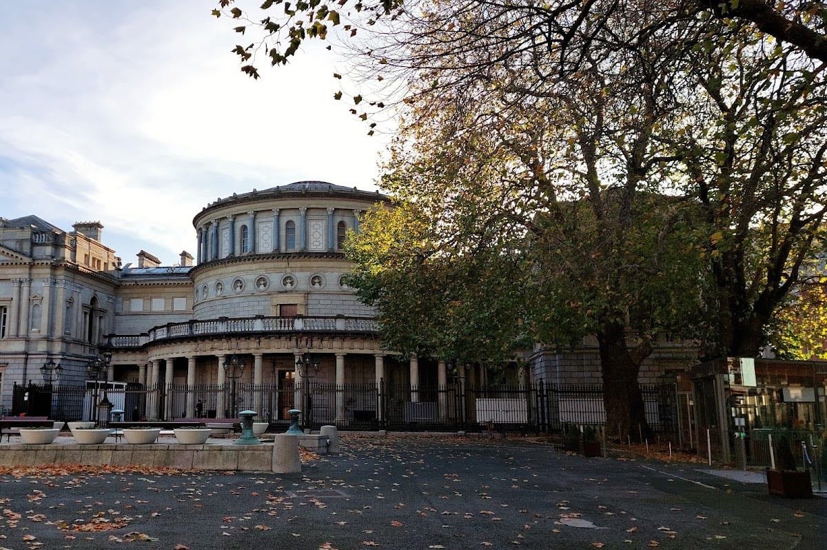 National Museum of Ireland, Kildare Street