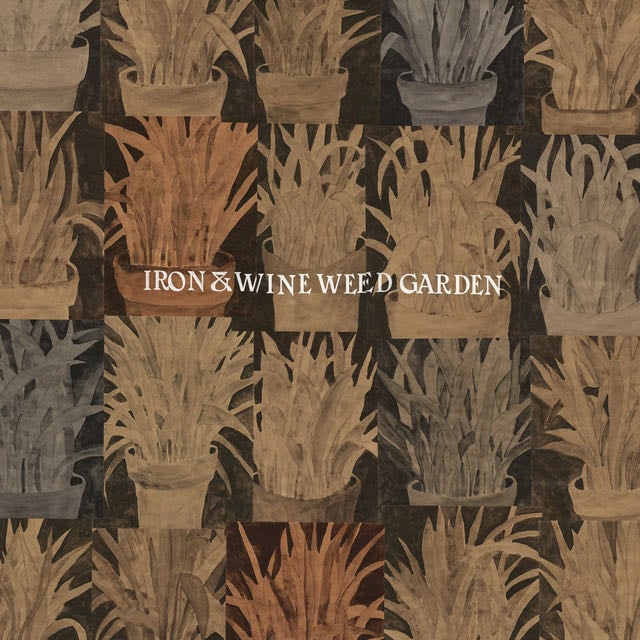 Autumn Town Leaves - Song · Iron & Wine
