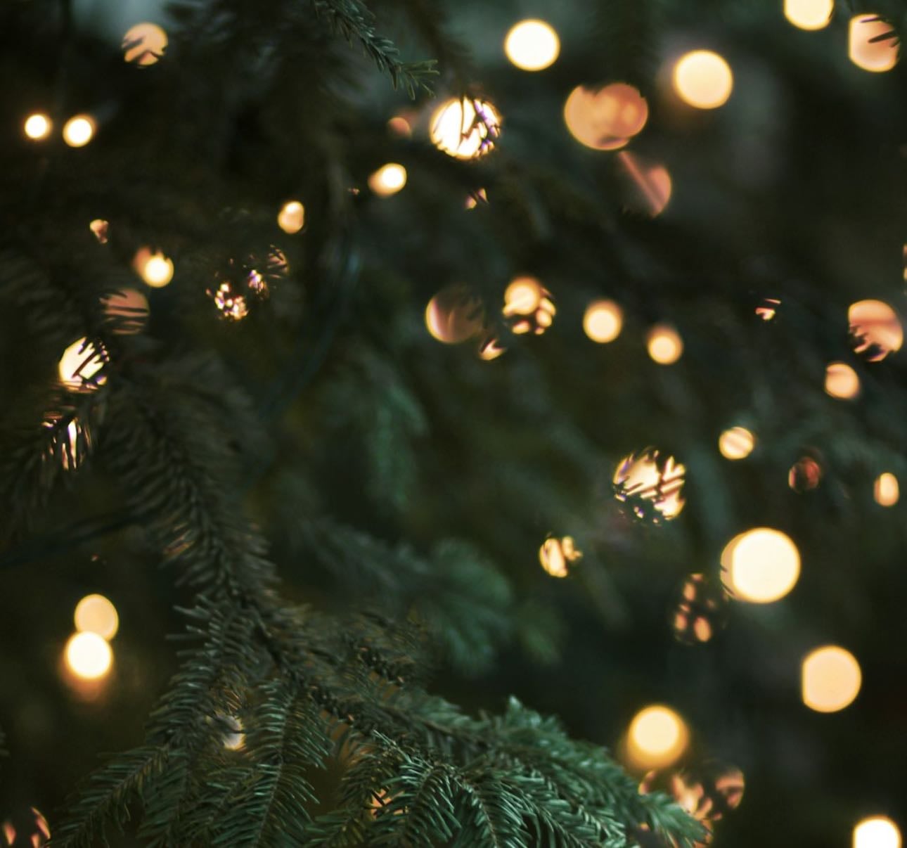 pov: you know the answer to “what do you want for Christmas?”