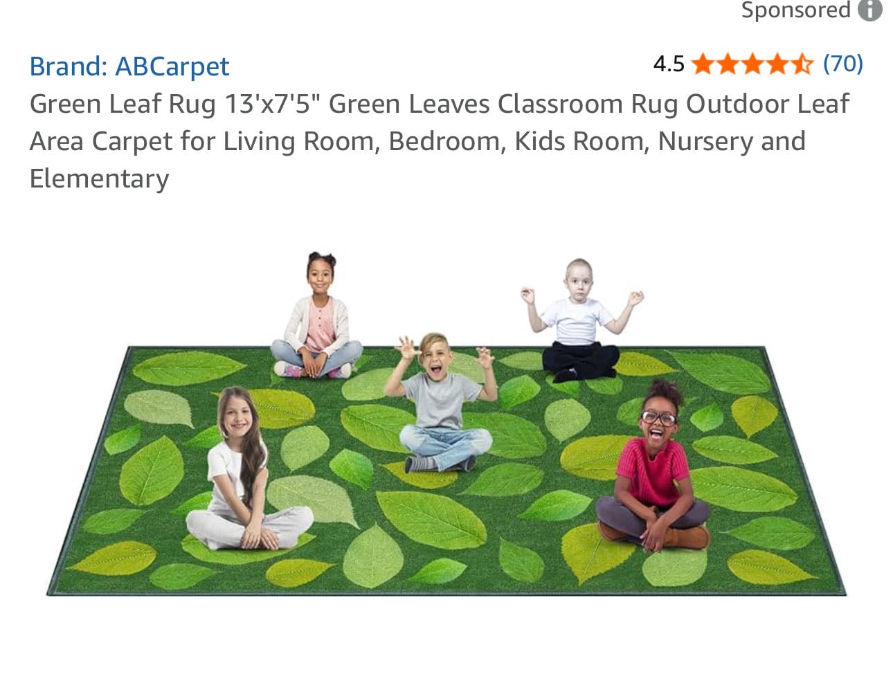 Classroom rug