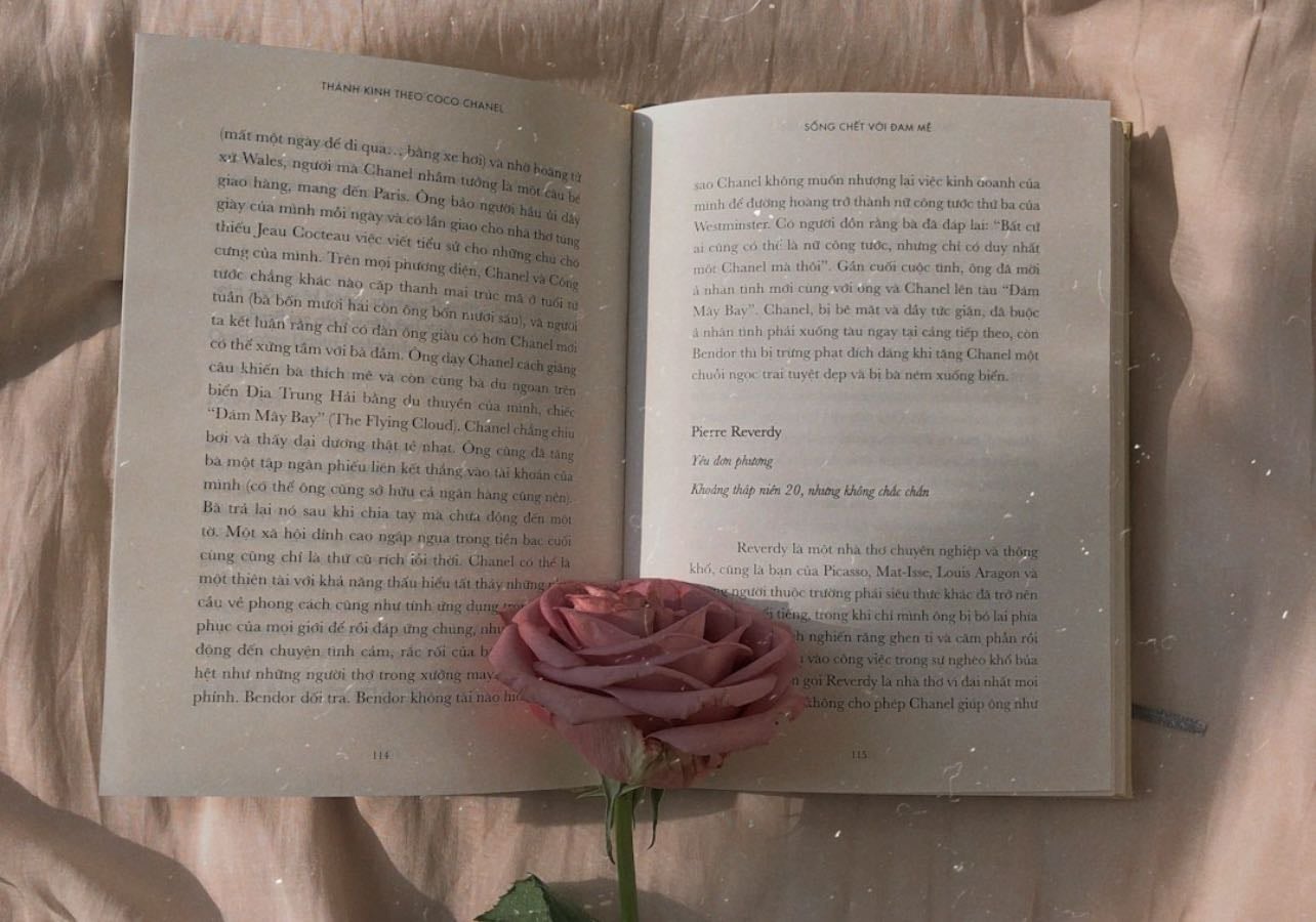 Libros Fav