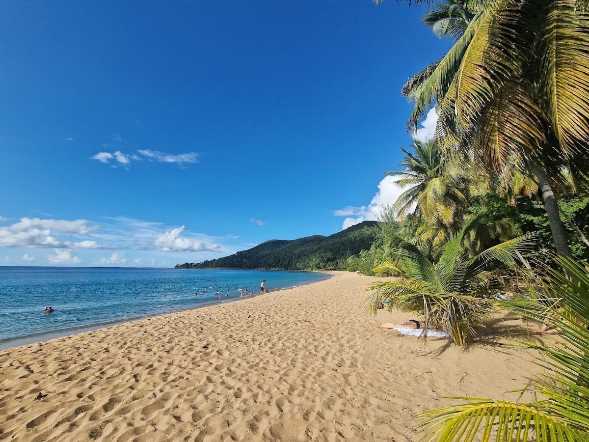Plage de Grande Anse