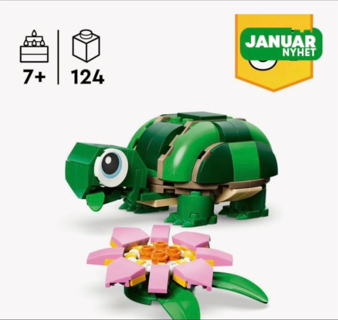 Turtle With Vanilla Flower - 114kr