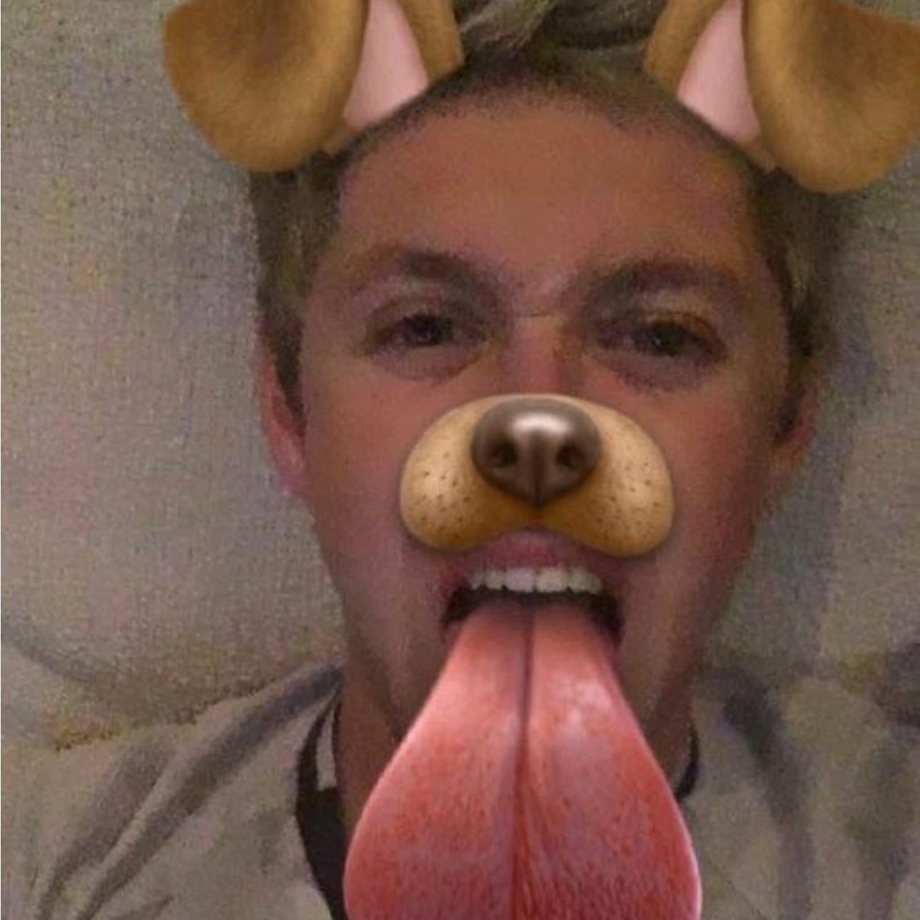 snapchat niall!