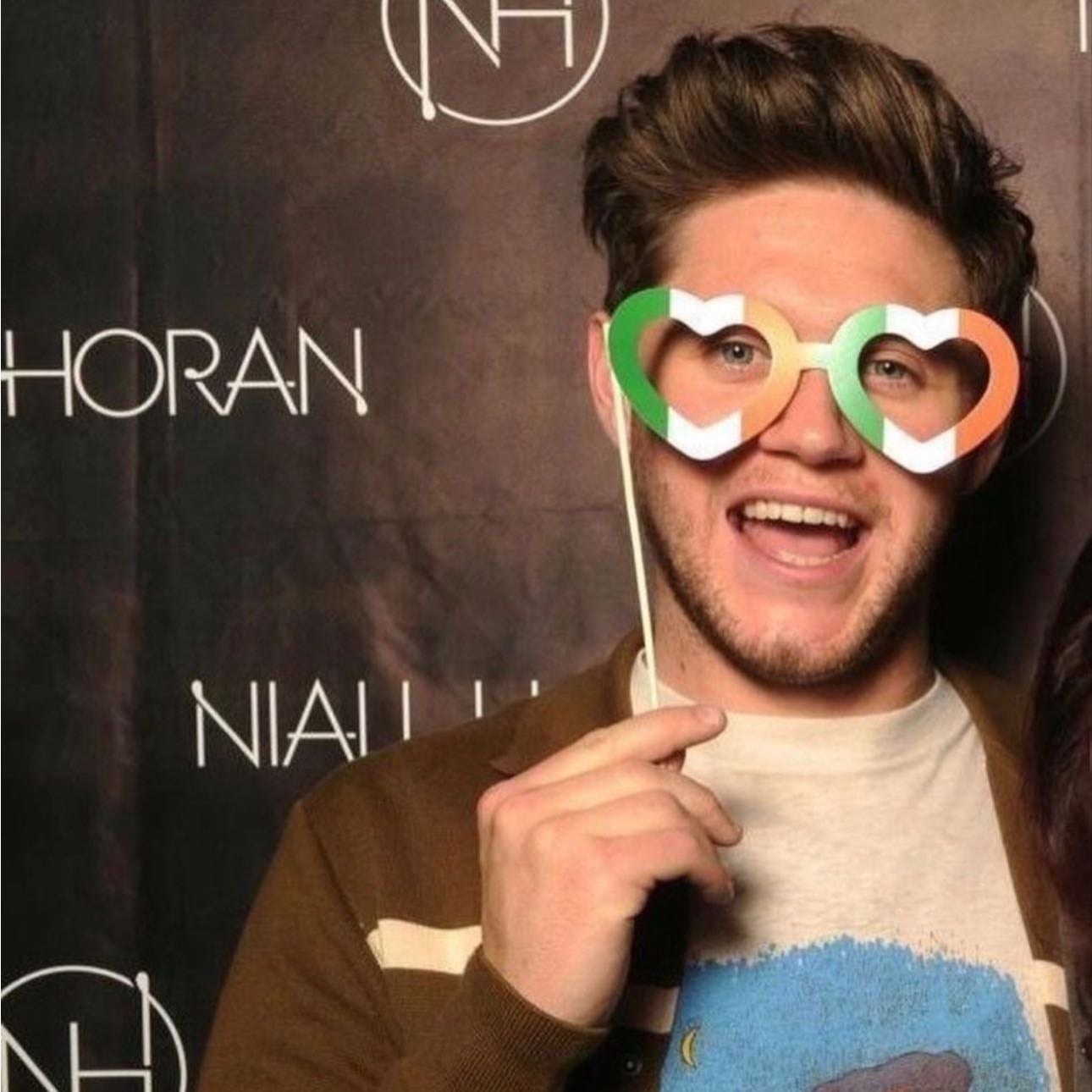 meet niall!! - this will be on my vision board every year for the rest of my life but a girl can dream right? ðŸ˜ðŸ˜