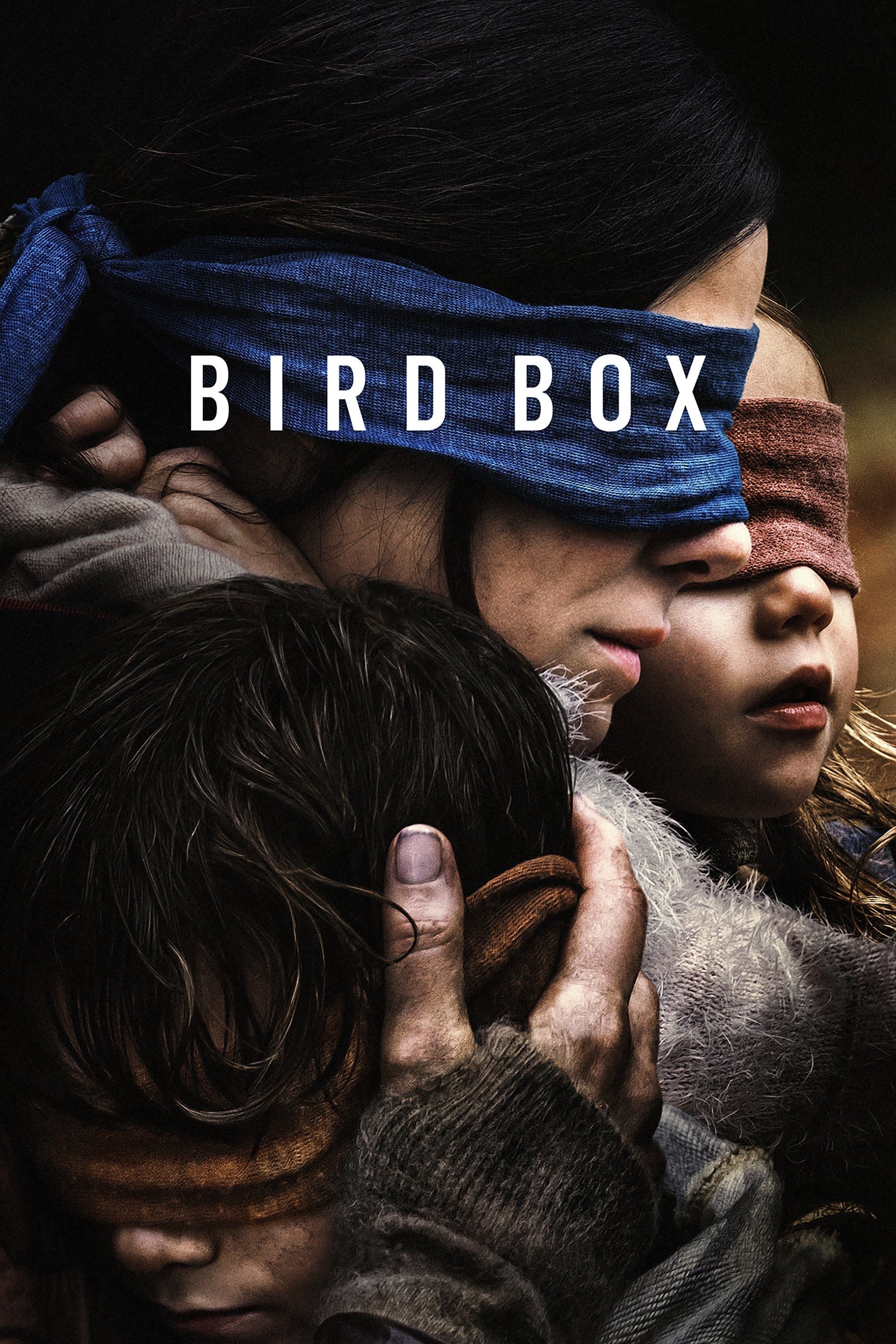 Bird Box - Susanne Bier · 2018