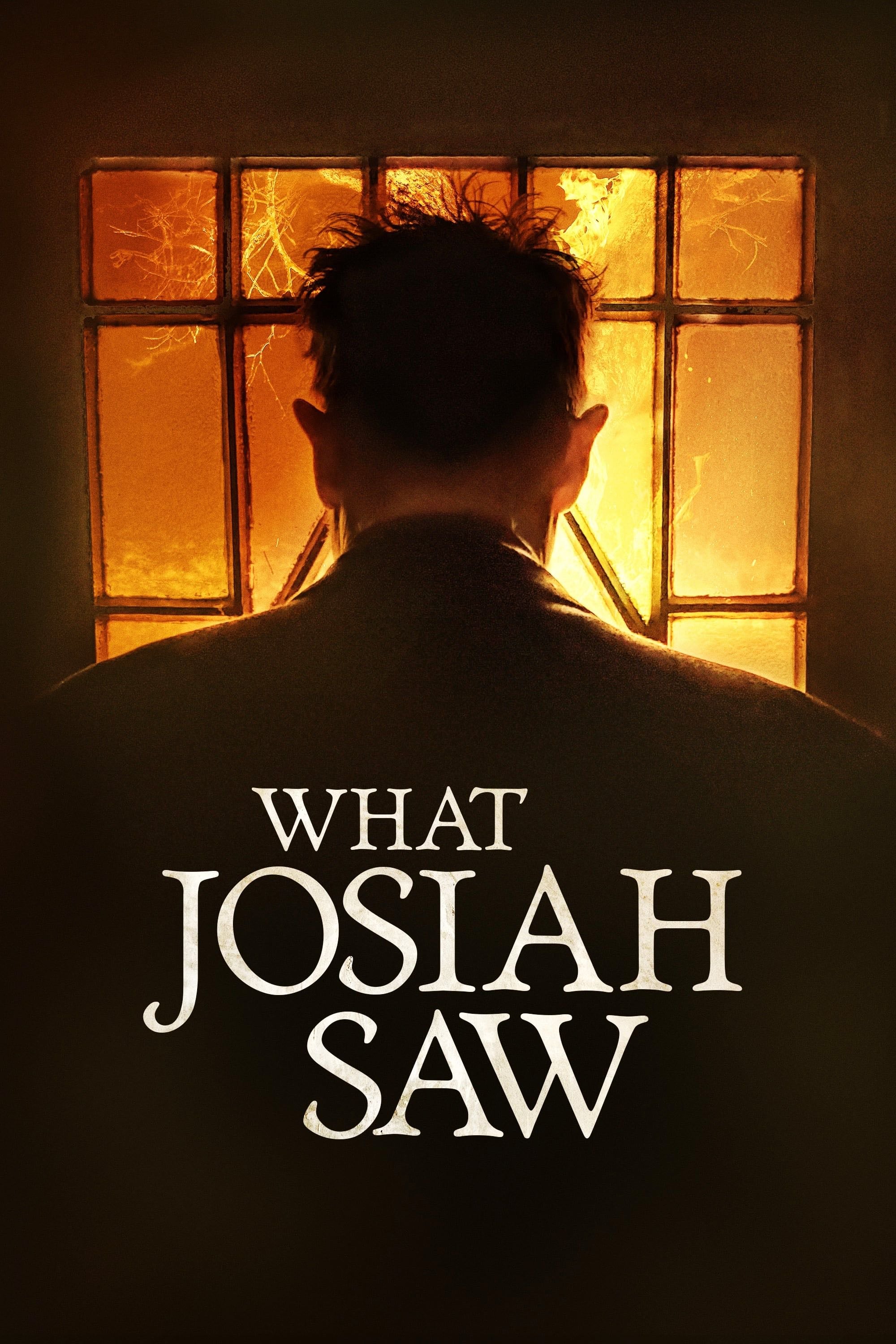 What Josiah Saw - Vincent Grashaw · 2021