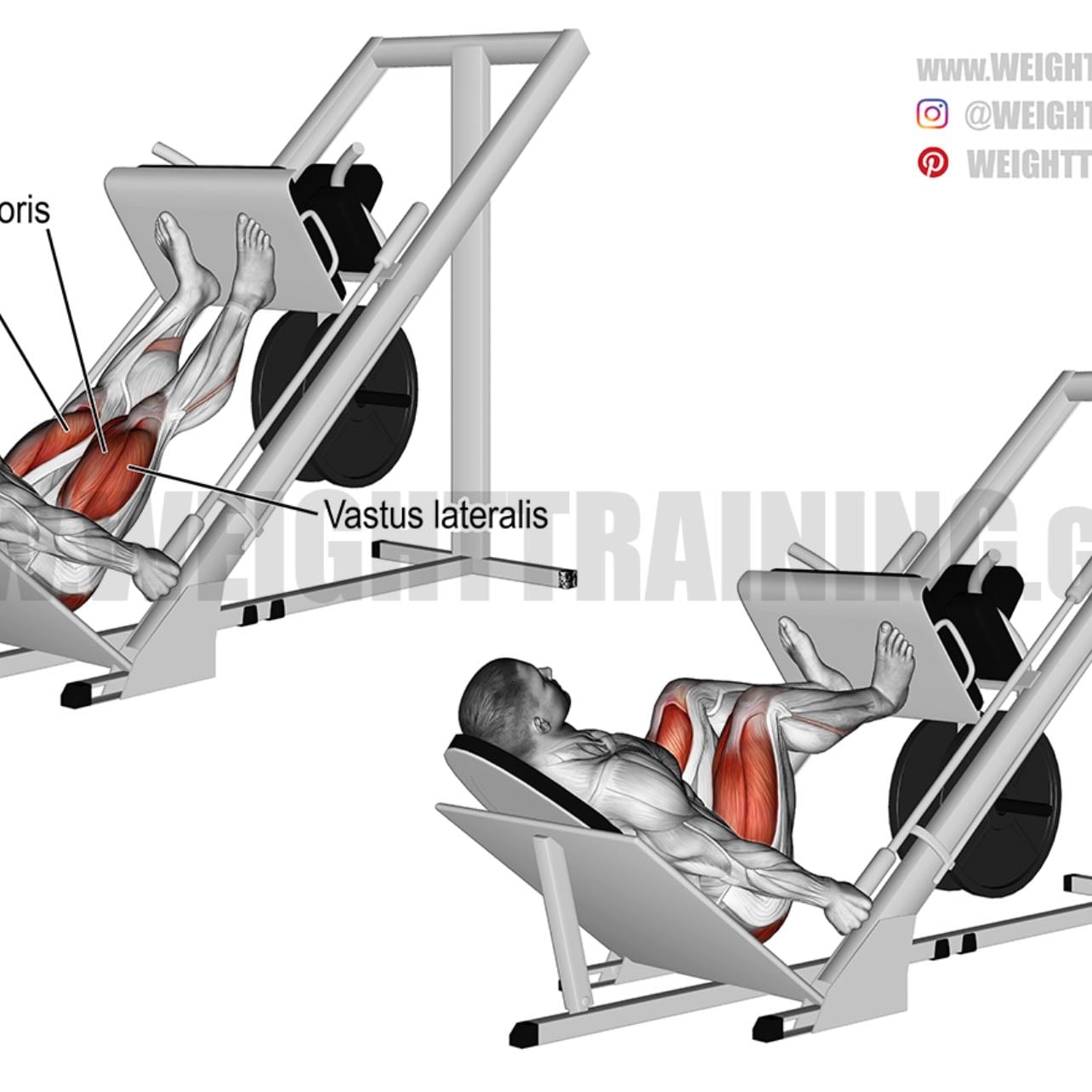 Leg press