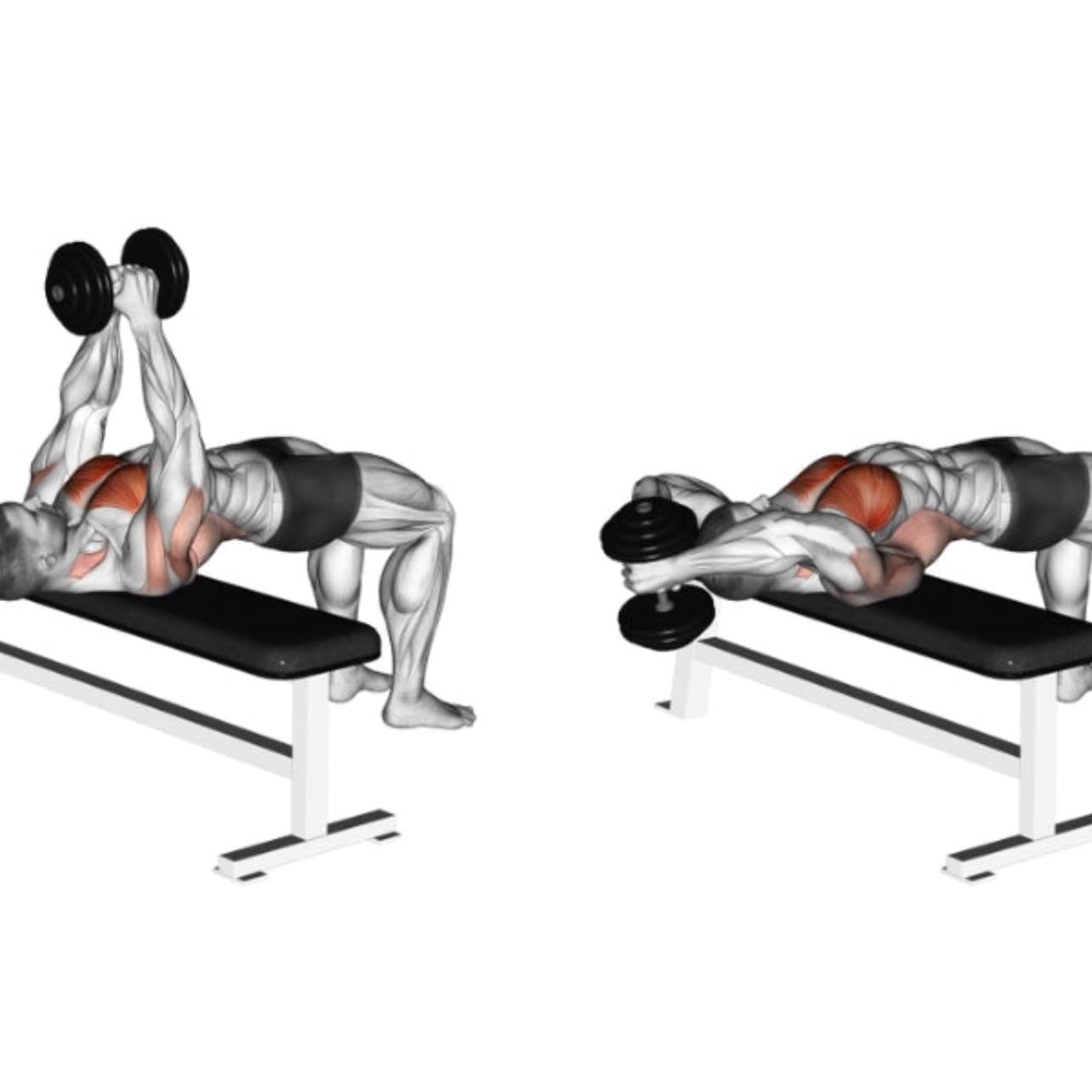 Dumbbell pullover