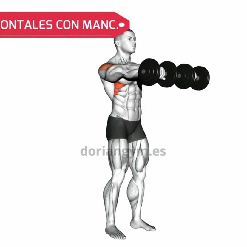 vuelos frontales - (incluir peso)