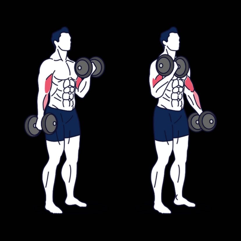 curls de bicep - (incluir peso)