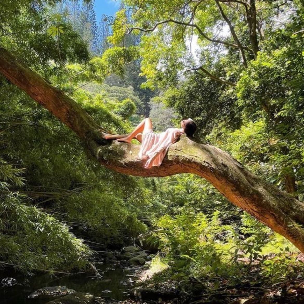 Nature and Fresh Air - Go out on a short walk in the morning Spending time outdoors, in a park, or near water can be very grounding