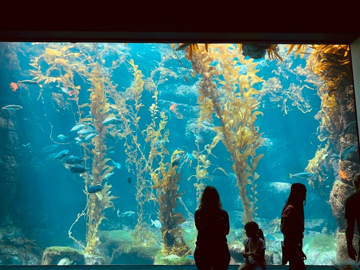 Birch Aquarium