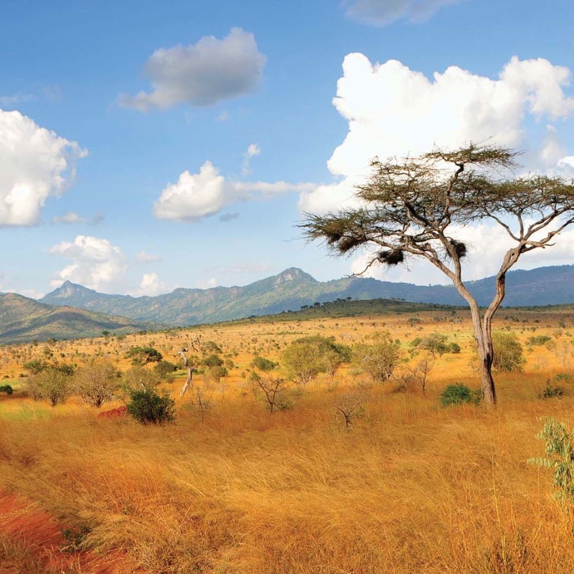 Kenya