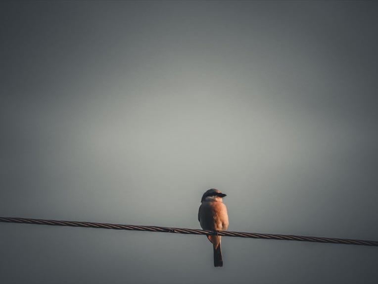 The Weight of Silence